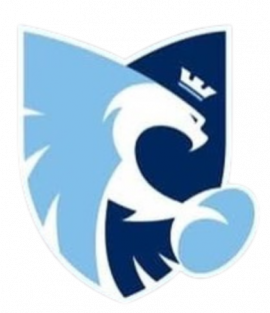 Bedford Blues RFC logo