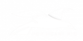 Porthcawl RFC