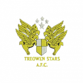 Treowen Stars AFC