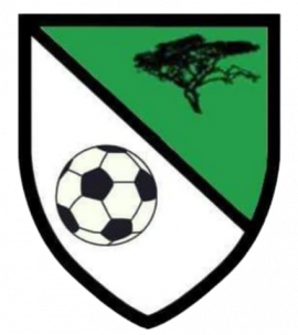 Creeves Celtic FC