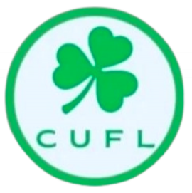 Irish Colleges and Universities