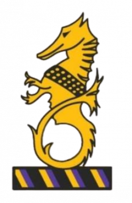 Instonians HC logo