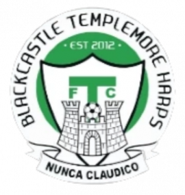 BT Harps FC
