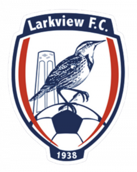 Larkview FC