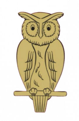 Owls Ladies HC logo