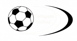 Oylegate United FC