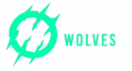 Oaklands Wolves FC