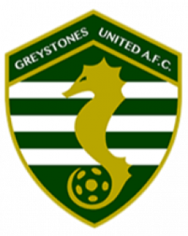 Greystones United FC
