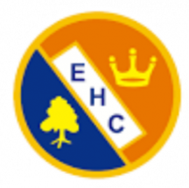 Ealing HC logo