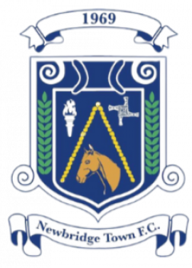 Newbridge Town FC