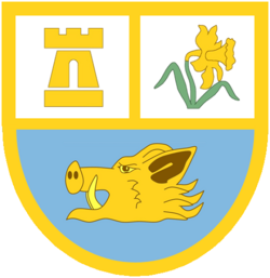 Ammanford RFC