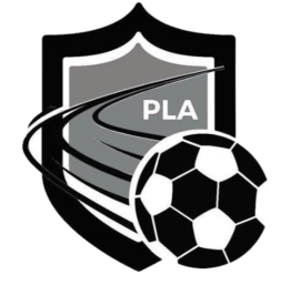 Pro Level Academy