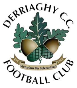 Derriaghy CC FC