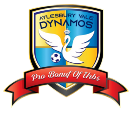 Aylesbury Vale Dynamos FC
