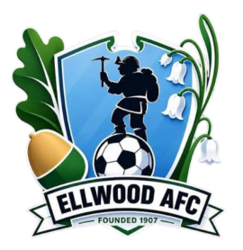 Ellwood Ladies FC