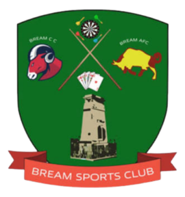 Bream Ladies AFC