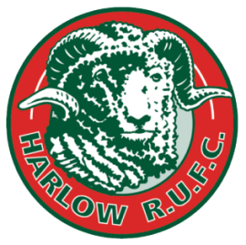 Harlow RFC
