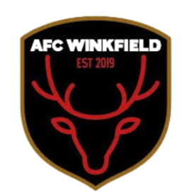 AFC Winkfield logo