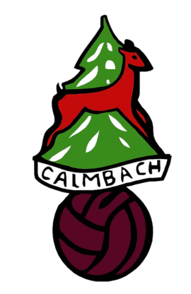 1. FC Calmbach