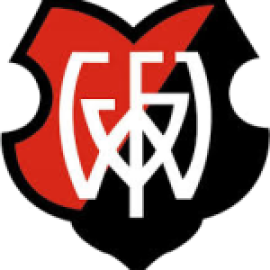 FV Wildbad