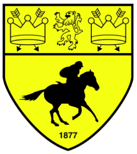 Newmarket Town FC