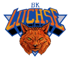 Vfl Bad-Kreuznach logo