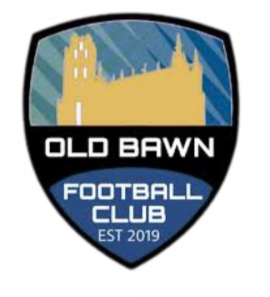Old Bawn FC