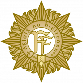 Irish Defence Forces