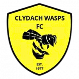 Clydach Wasps FC