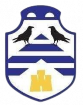 Bridgend Sports RFC logo