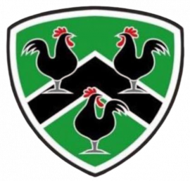 Gwernyfed RFC